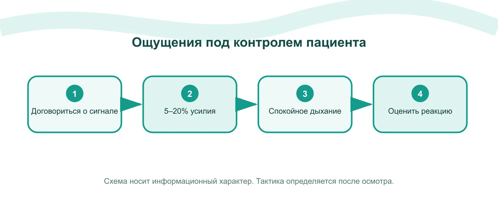 Схема: В фазе расслабления